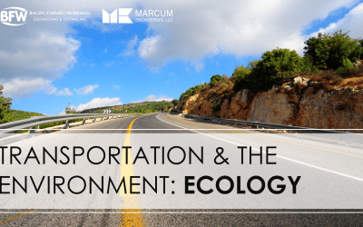 Transportation & the Environment: Ecology