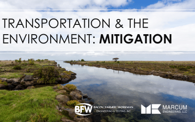 Transportation & the Environment: Mitigation
