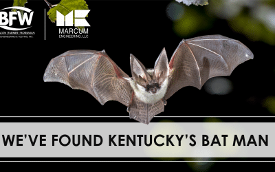 We’ve Found Kentucky’s Bat Man