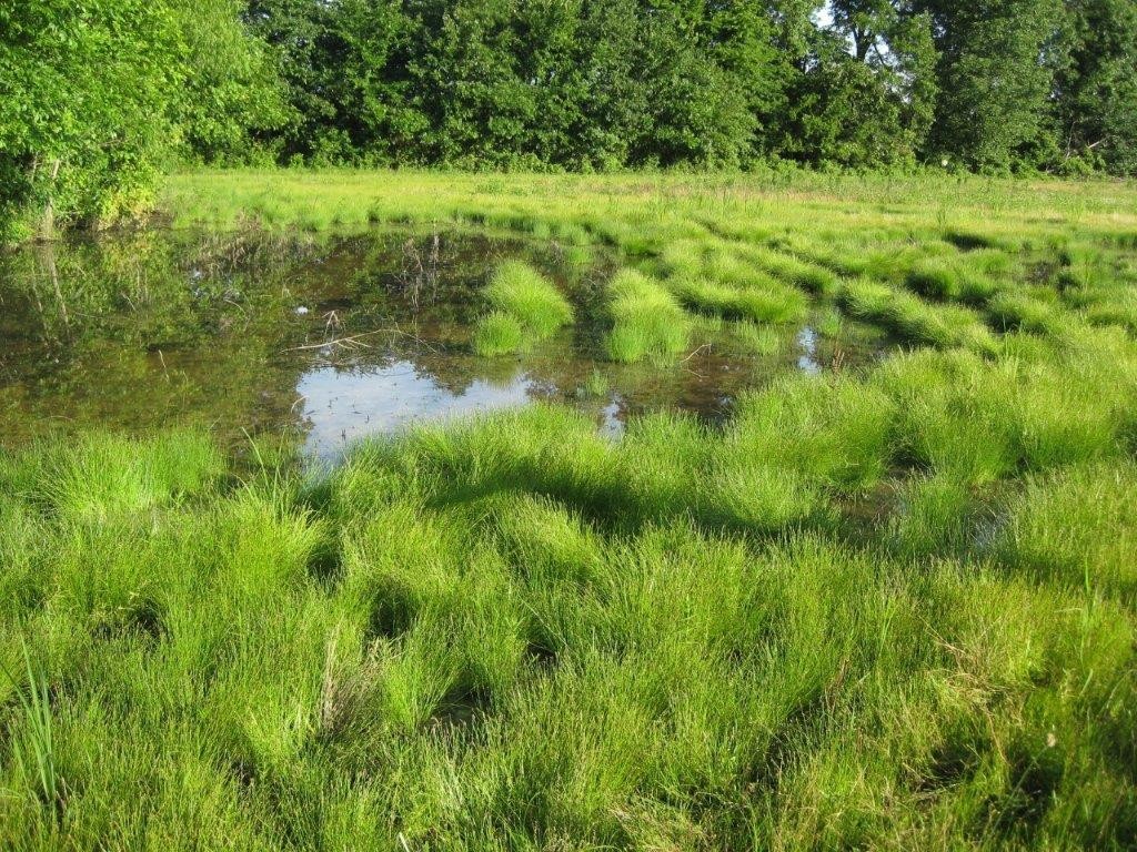 US 45 Bypass-Saline, Gallatin & White Counties, IL