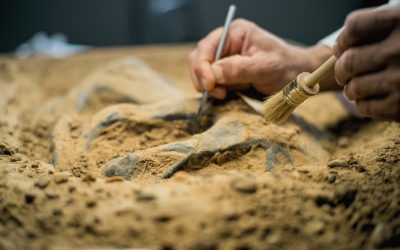 Digging Deeper: Our Archaeology Services