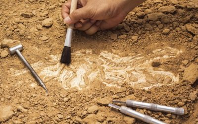 From Blueprints to Artifacts: Why Archaeology Belongs in Engineering